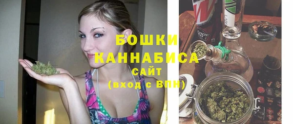 spice Белая Холуница
