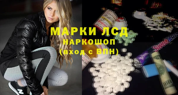 spice Белая Холуница