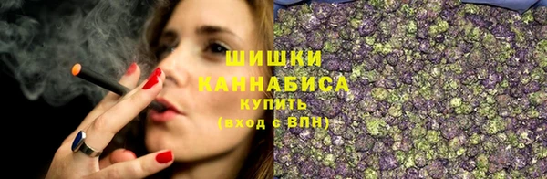 spice Белая Холуница