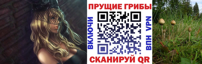 Псилоцибиновые грибы мухоморы  mega сайт  Кинель 